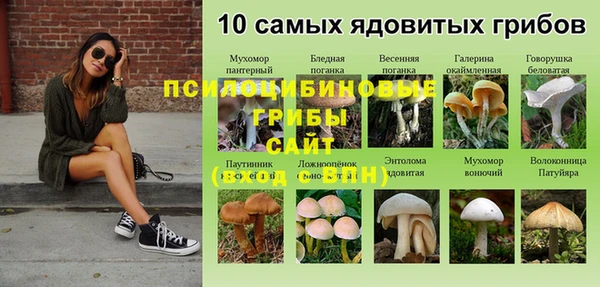 метадон Михайлов
