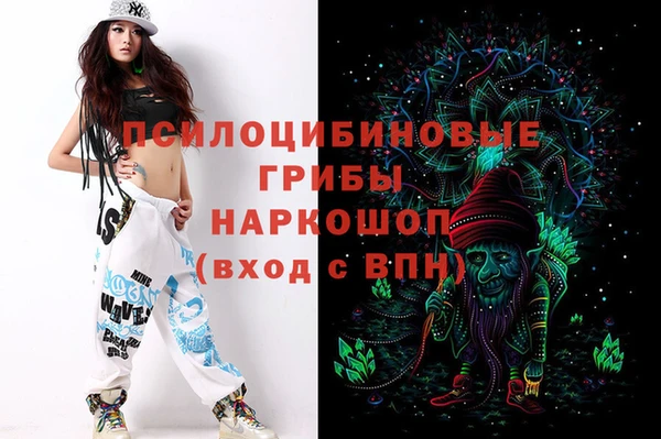 СК Михайловск