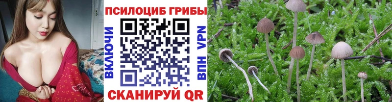 Купить где  Армянск  Галлюциногенные грибы GOLDEN TEACHER 